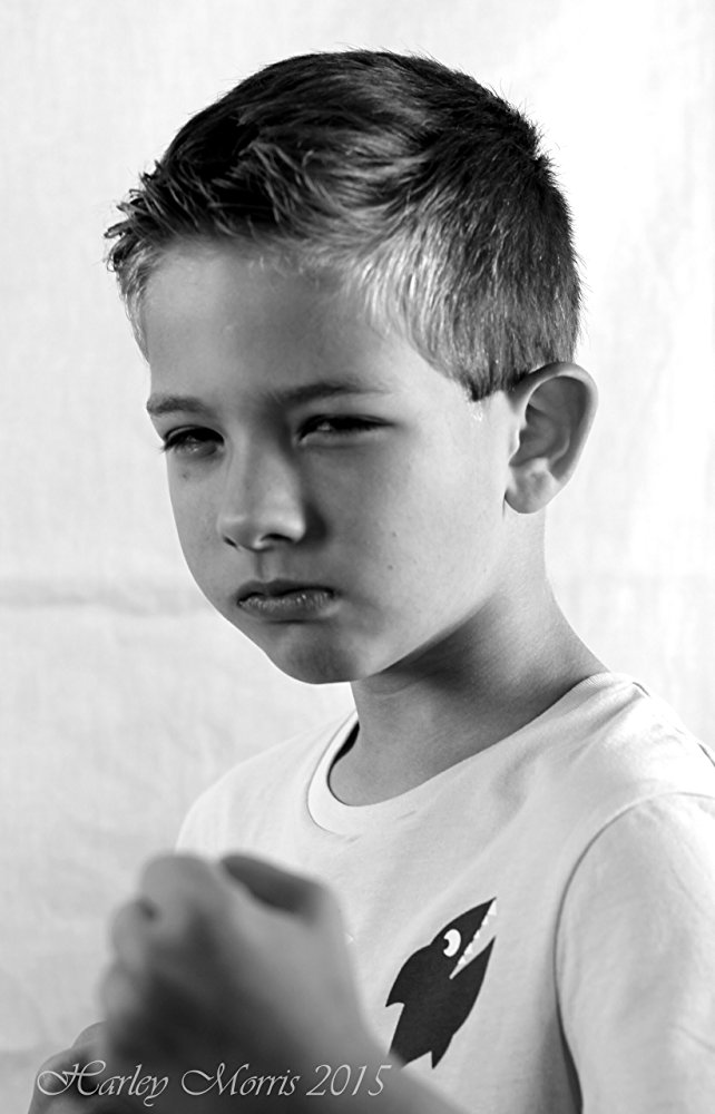 Zander Kaufer