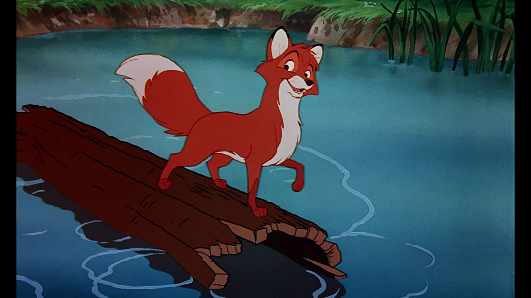 Tod