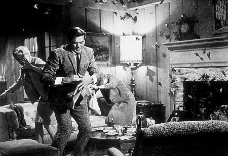 Rod Taylor