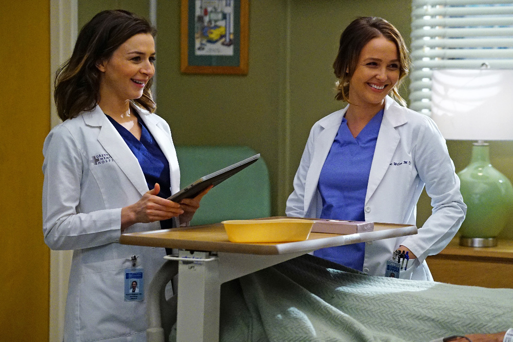 Dr. Amelia Shepherd