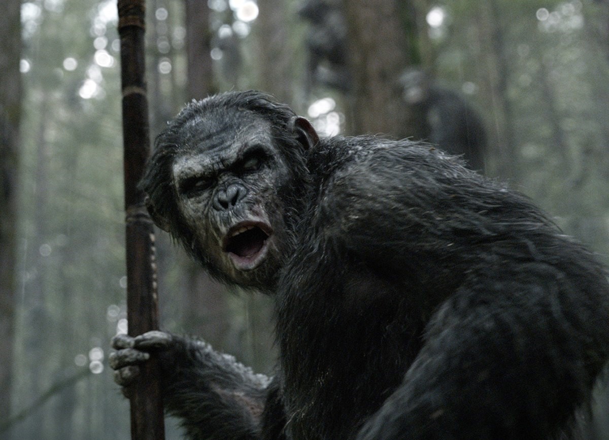 Koba