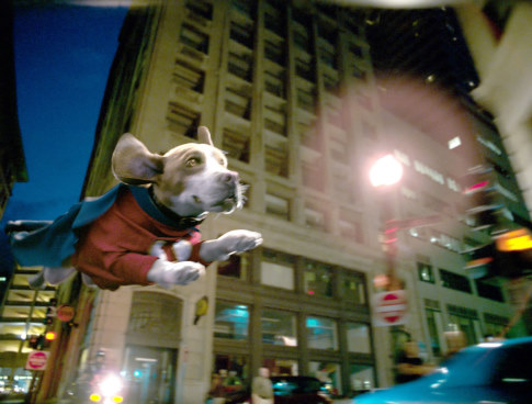 Underdog