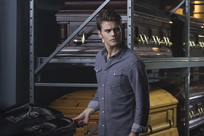 Stefan Salvatore