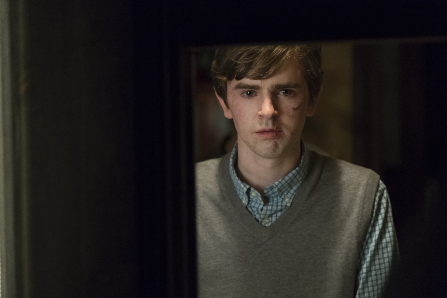 Freddie Highmore