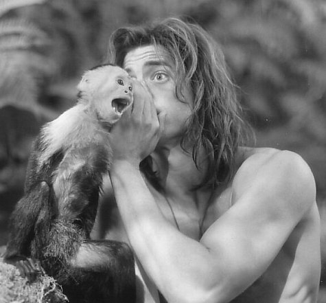 Little Monkey