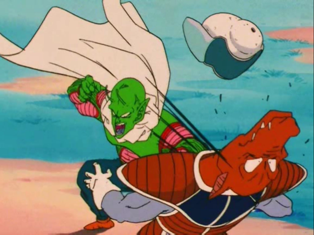 Namekian Warrior