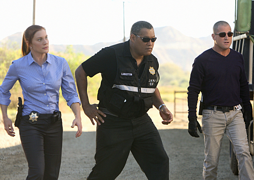Detective Frankie Reed