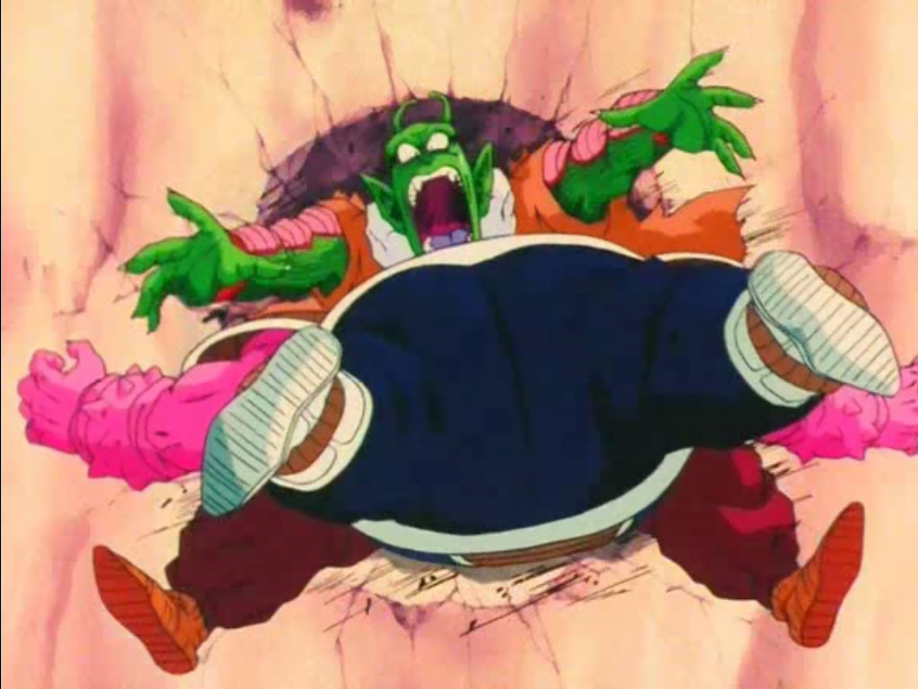 Namekian Warrior