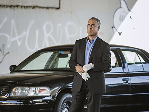 Titus Welliver
