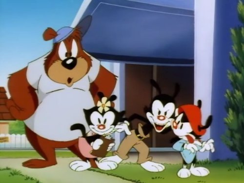 Yakko Warner