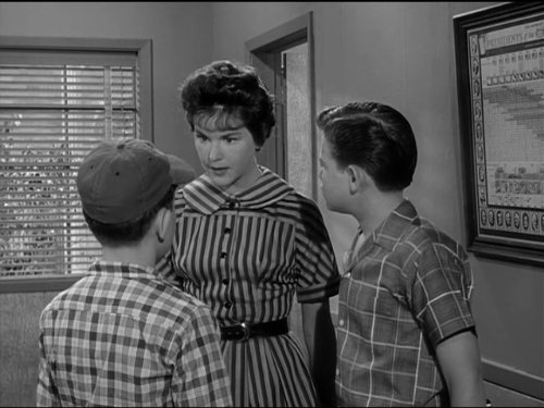 Theodore 'Beaver' Cleaver