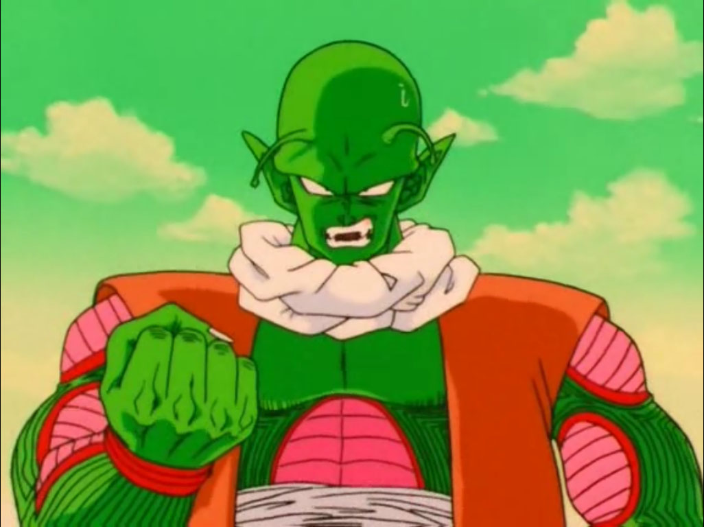 Namekian Warrior