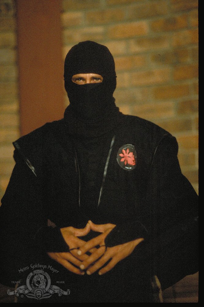 Michael Dudikoff