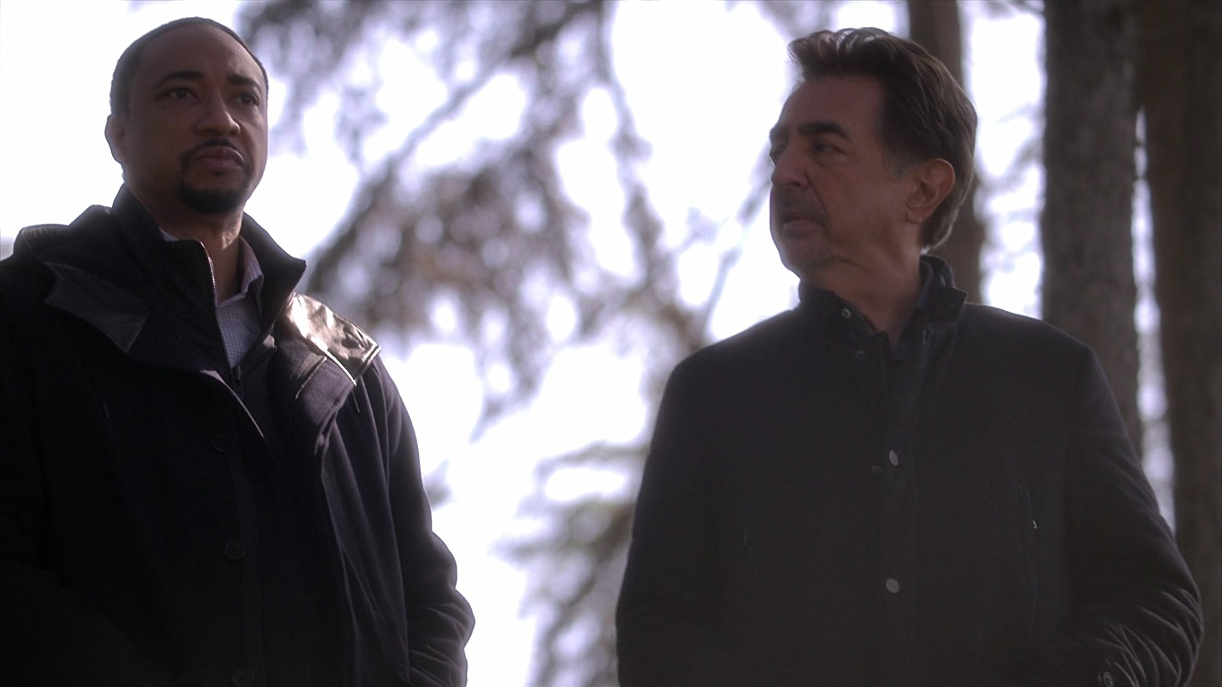 David Rossi