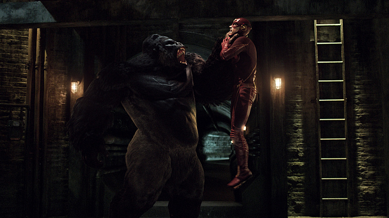 Gorilla Grodd