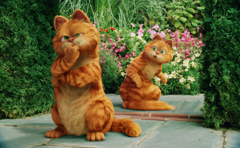 Garfield