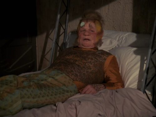 Neelix