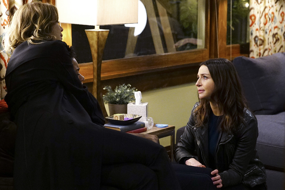 Dr. Amelia Shepherd