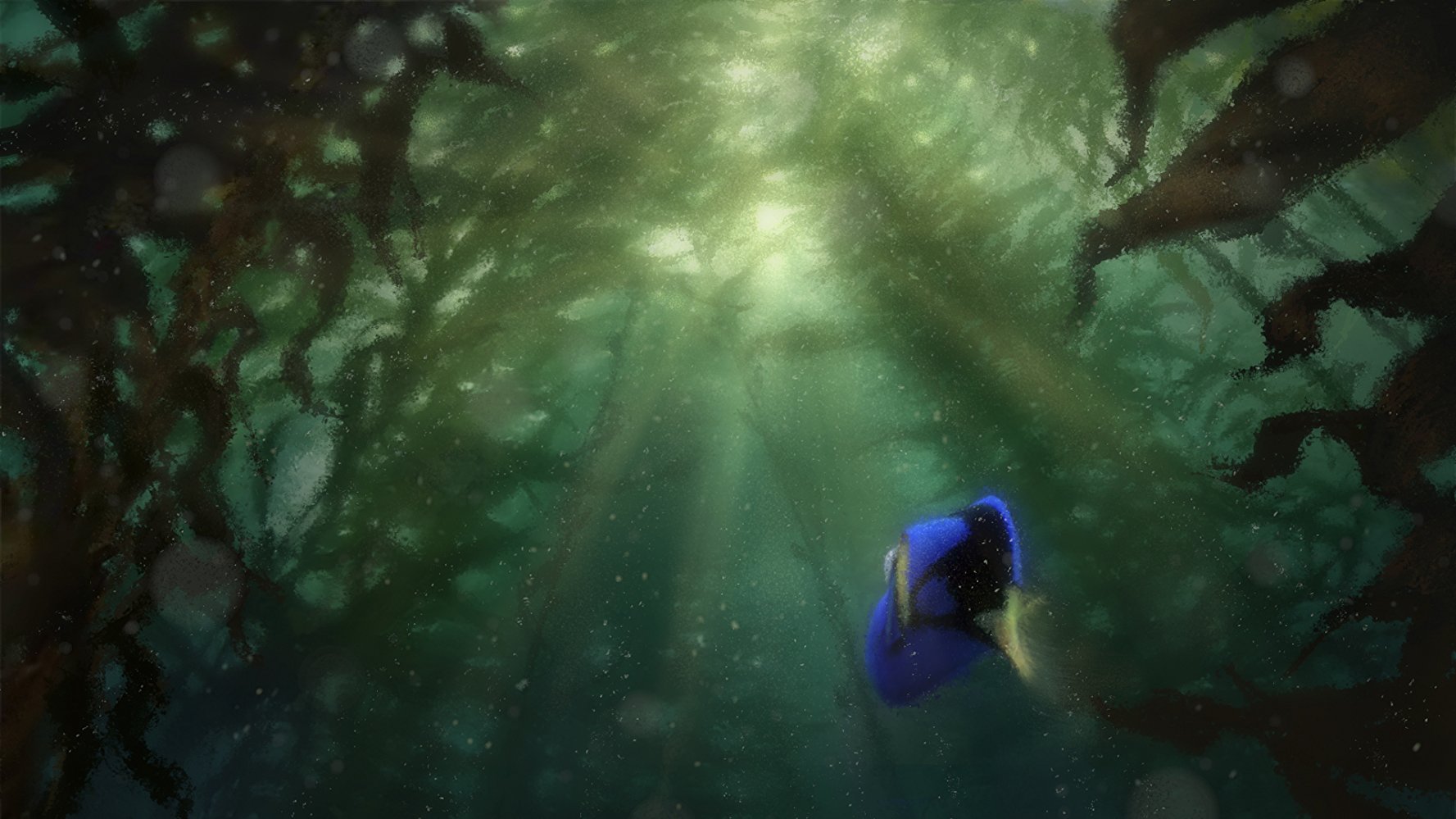 Dory