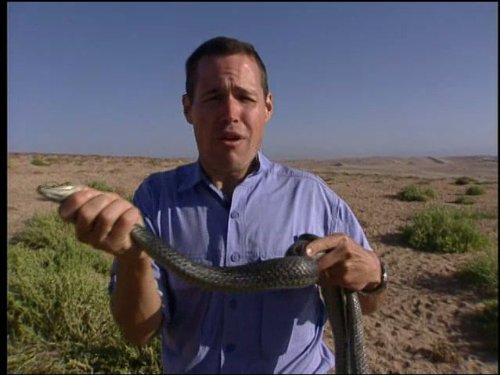 Jeff Corwin