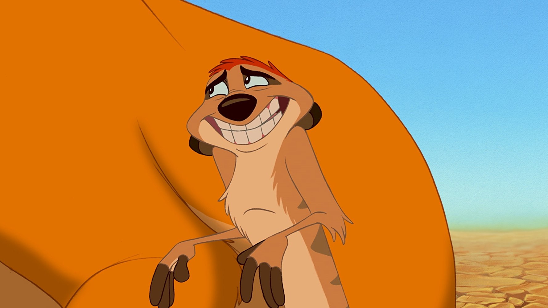 Timon