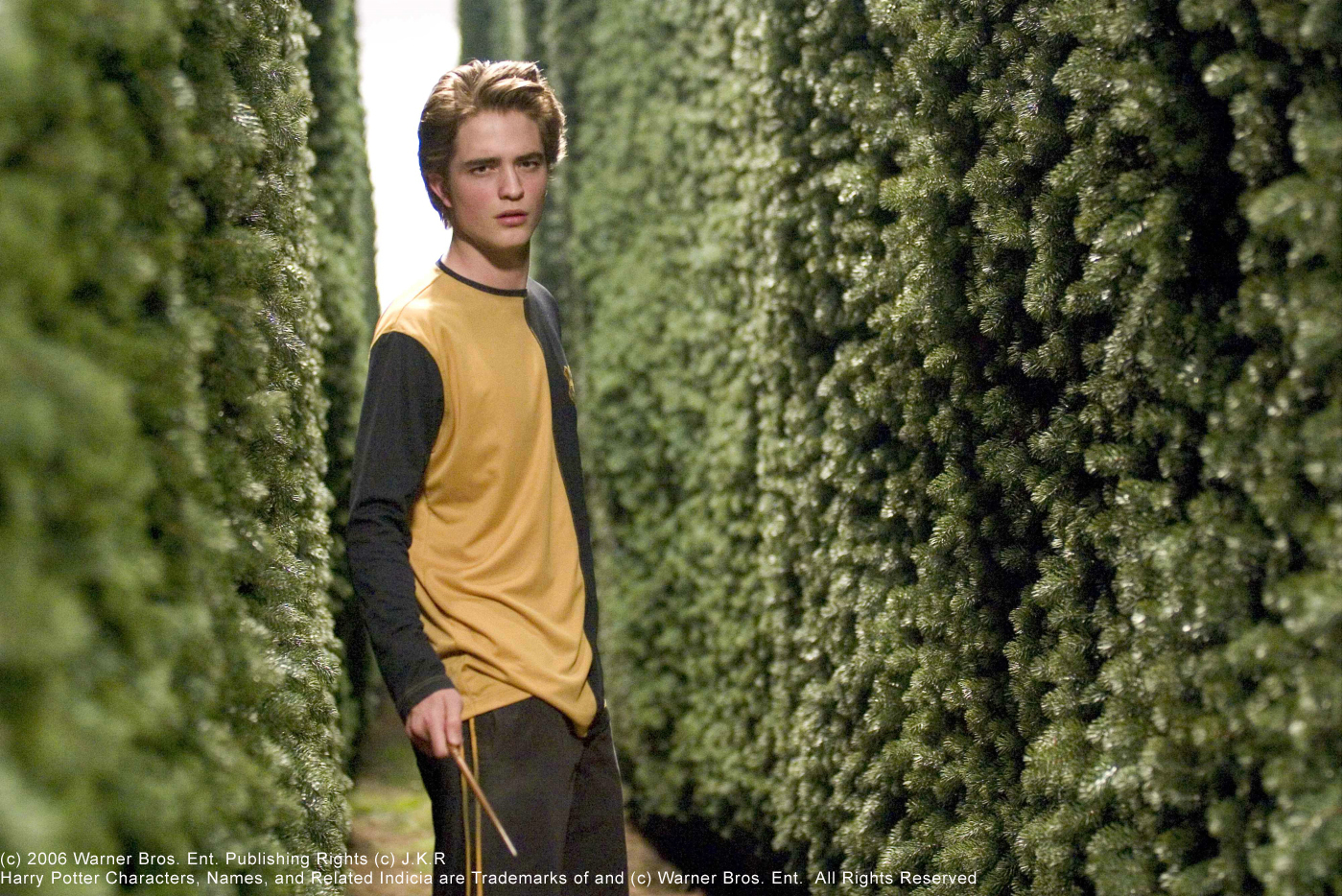 Cedric Diggory