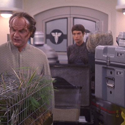 Dr. Phlox