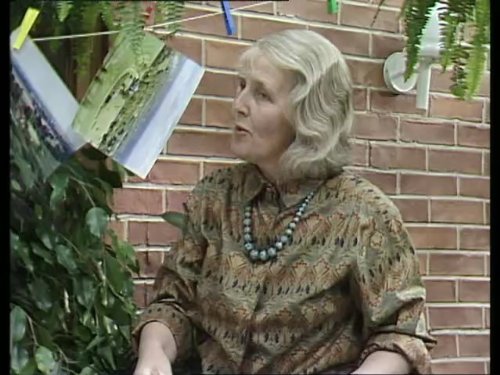 Stephanie Cole