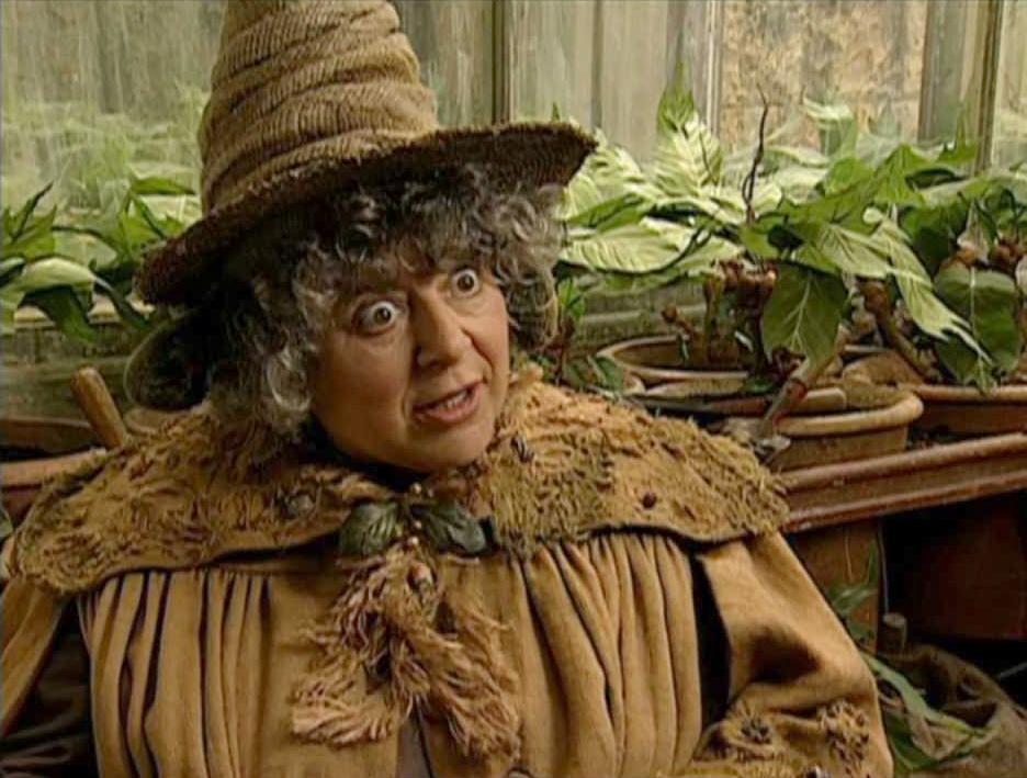 Professor Pomona Sprout