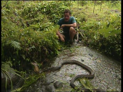 Jeff Corwin