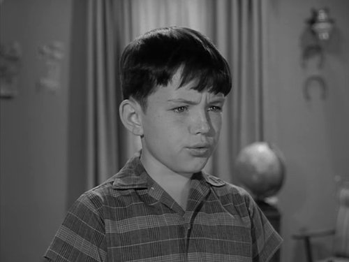 Theodore 'Beaver' Cleaver