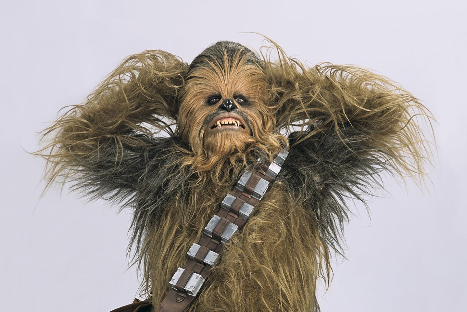 Chewbacca