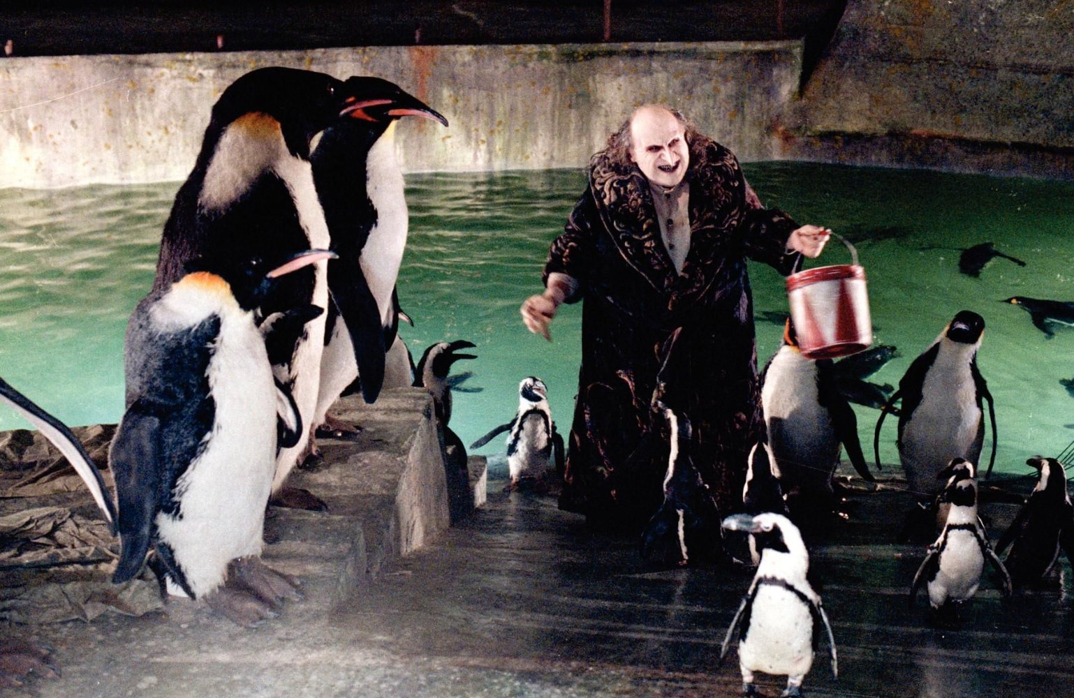Penguin