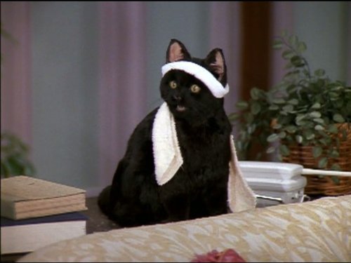 Salem Saberhagen