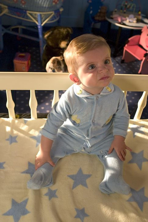 Ryan Falconer