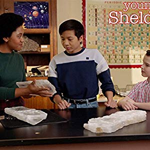 Sheldon