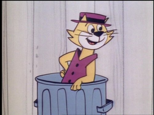 Top Cat