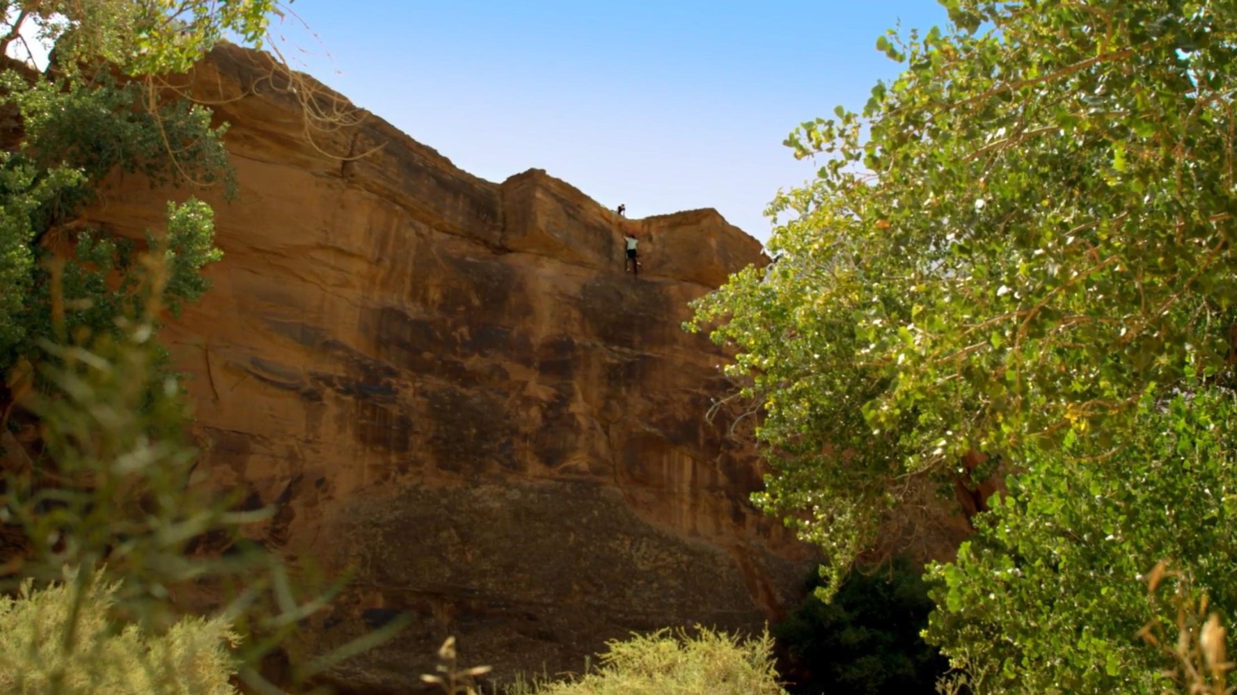 Bronx Warren