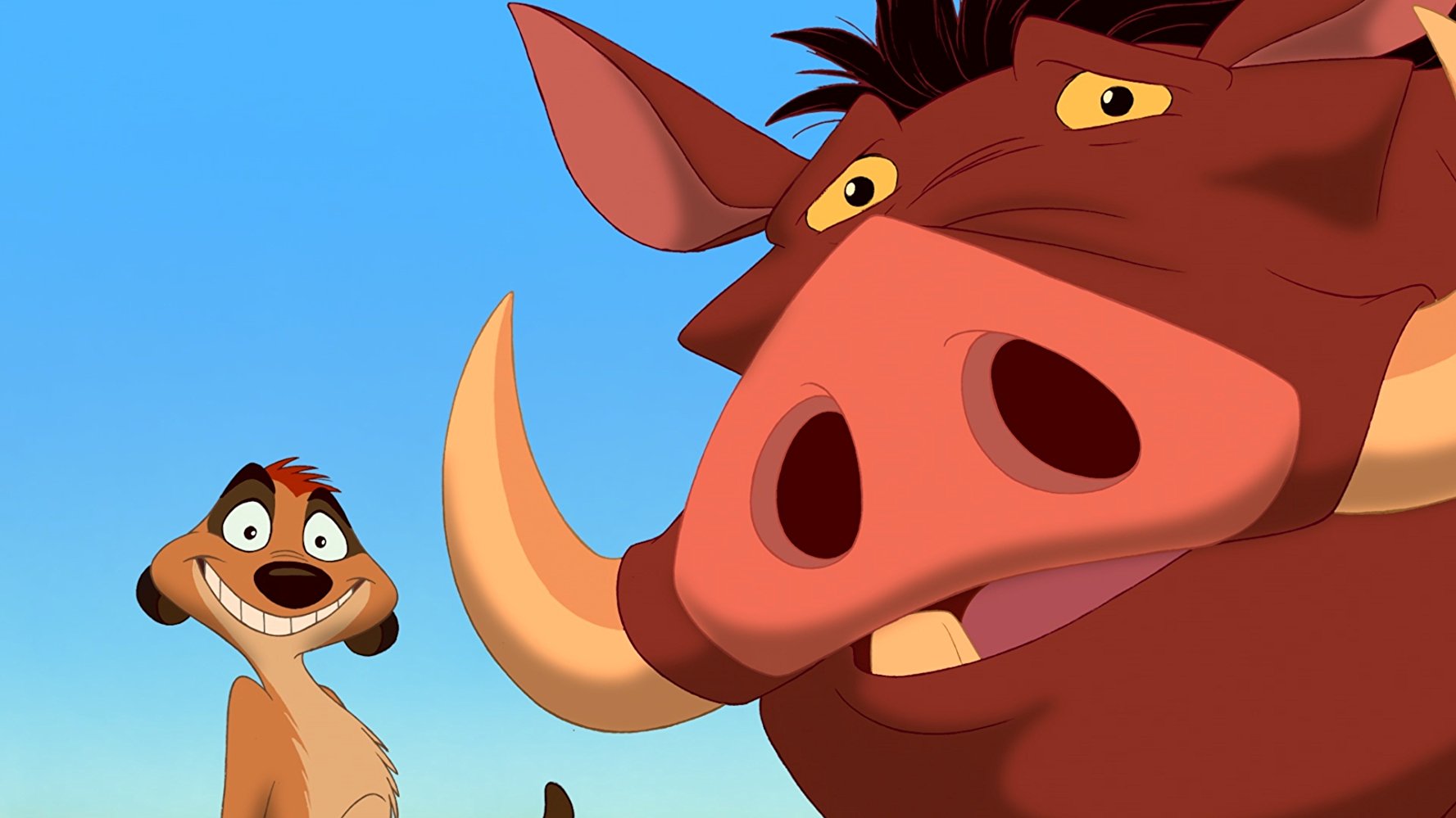Timon