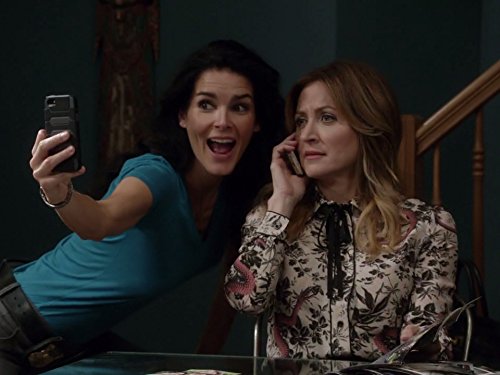 Angie Harmon