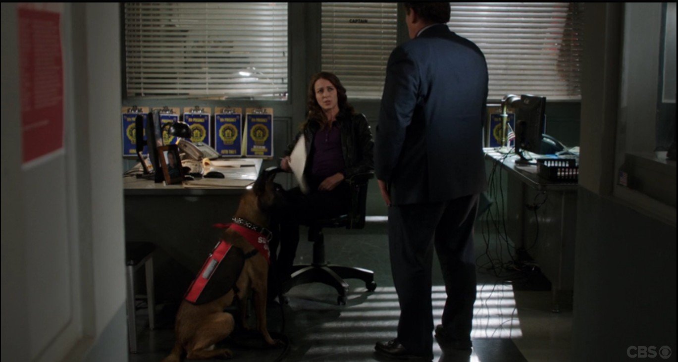 Detective Lionel Fusco