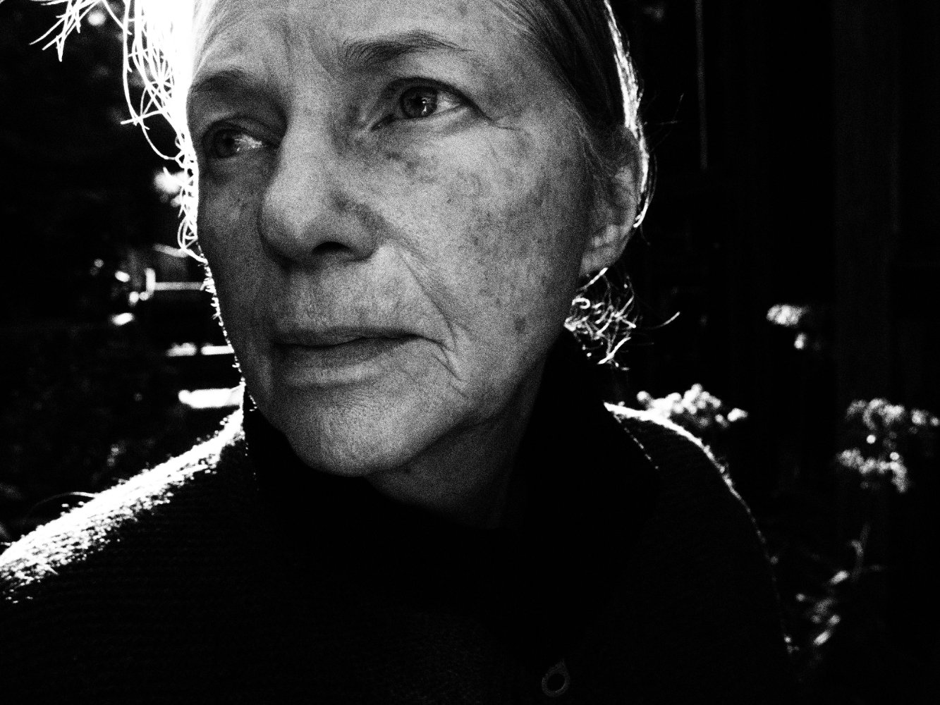 Sandra Seacat