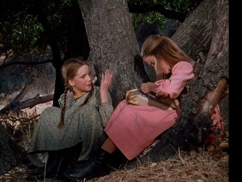Melissa Sue Anderson