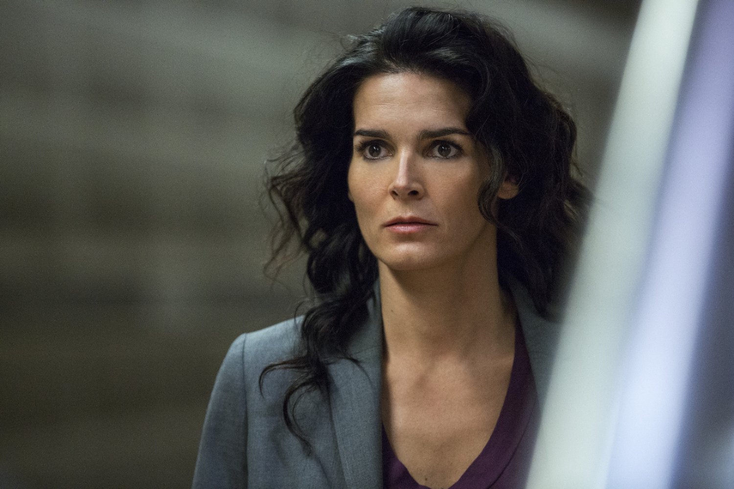 Angie Harmon