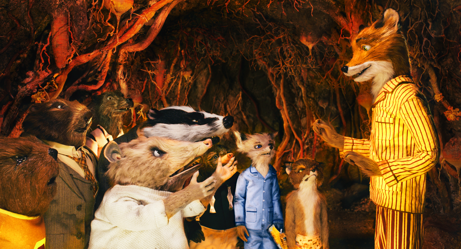 Mr. Fox