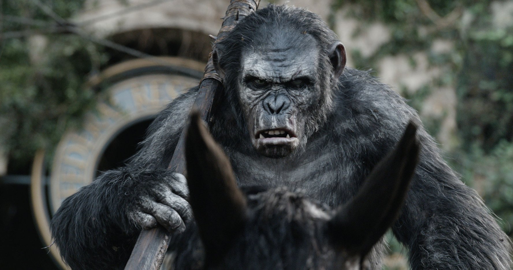 Koba