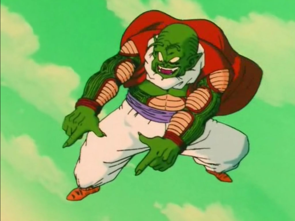 Namekian Warrior