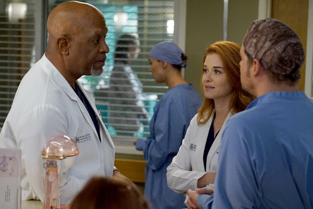 Dr. April Kepner