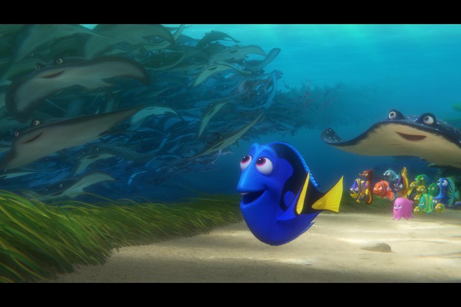 Dory