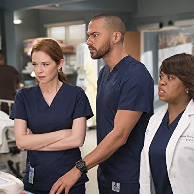 Dr. April Kepner